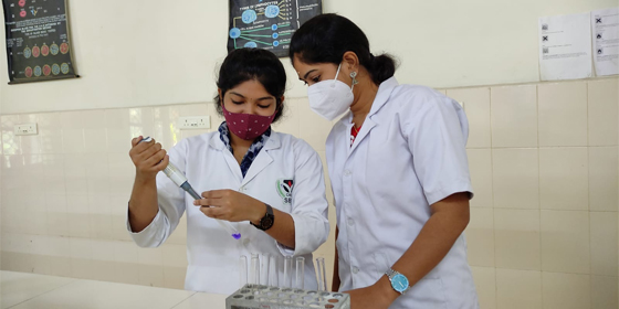 bsc biochemistry