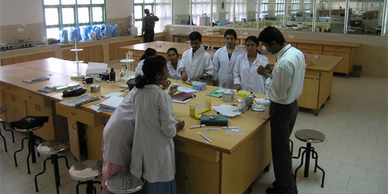 bsc biotechnology