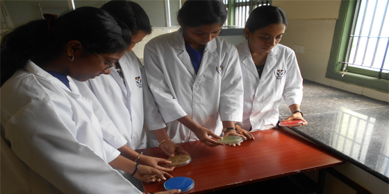 bsc microbiology