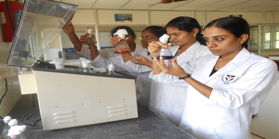 msc microbiology