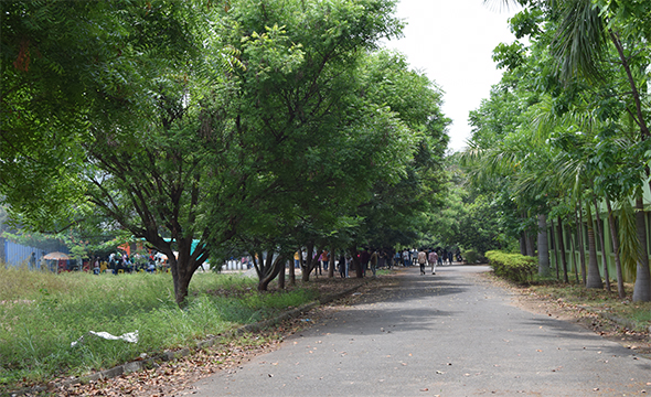 social forestry 1