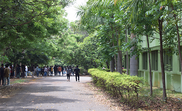 social forestry 2